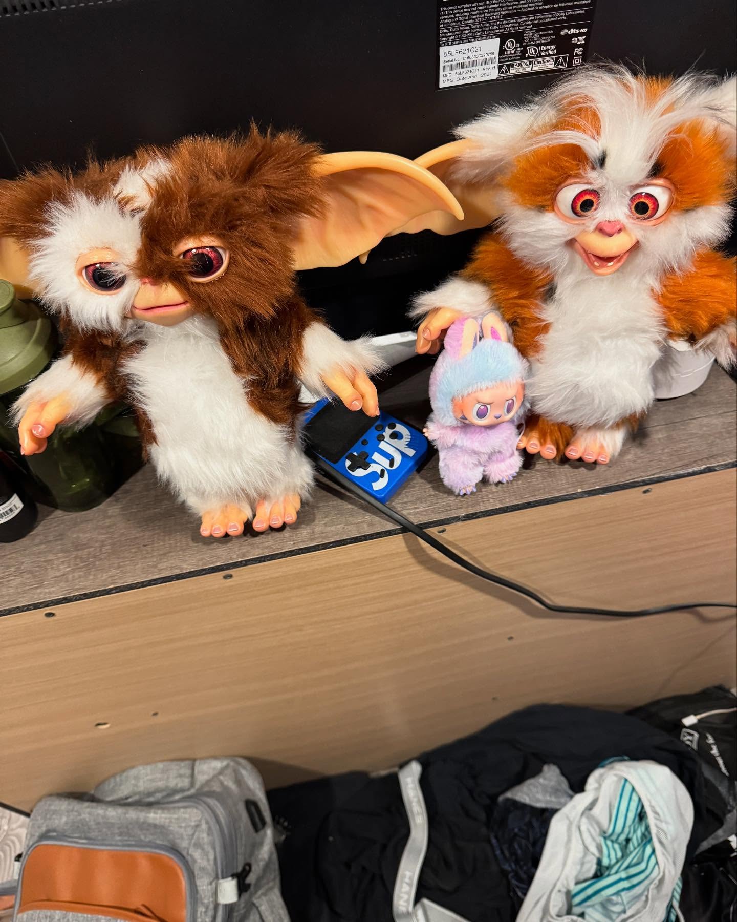 She got in with a rough crowd…. I don’t know if she should be hanging out with these guys…